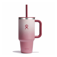 Hydro Flask All Around Tumbler, 32 Oz.
